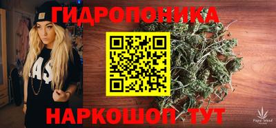 спайс Славгород