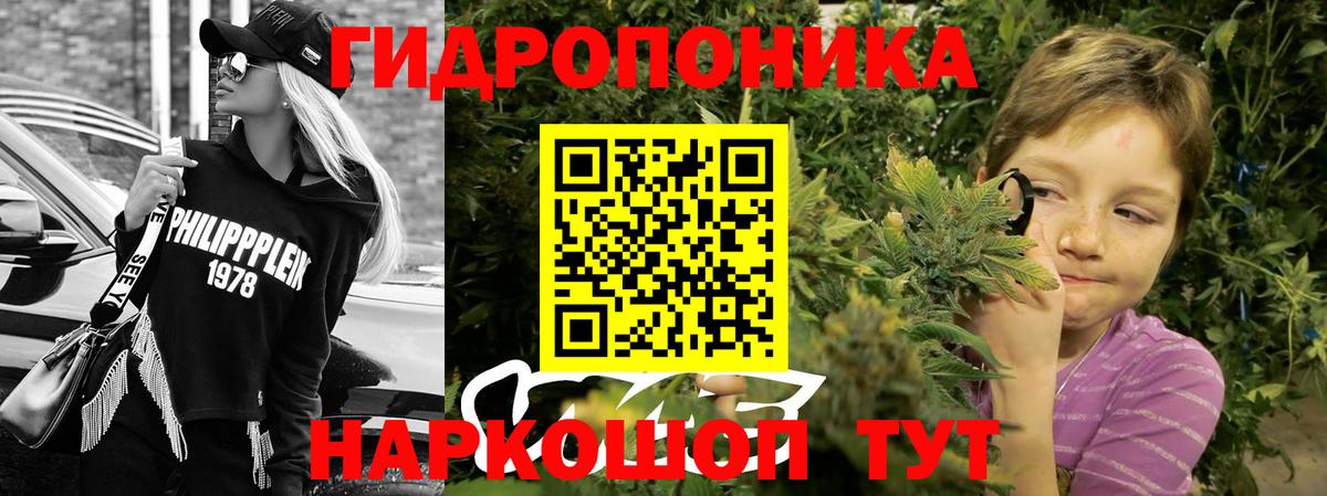 Бошки марихуана план Острогожск